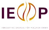 IEP Logo